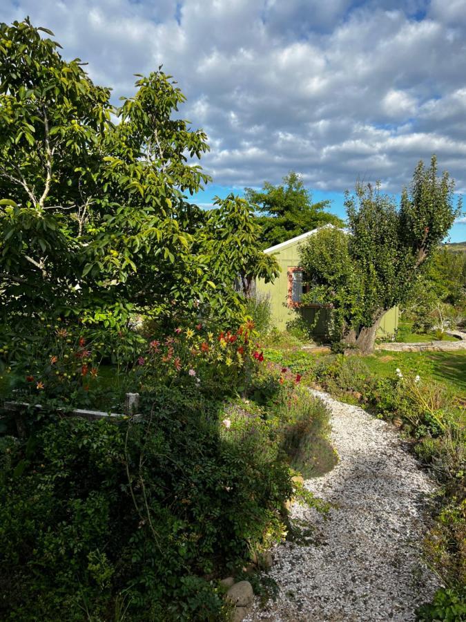 Отель Wisteria Way Опонони Экстерьер фото