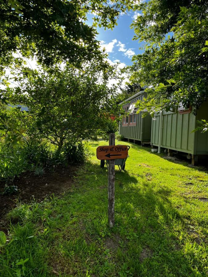 Отель Wisteria Way Опонони Экстерьер фото