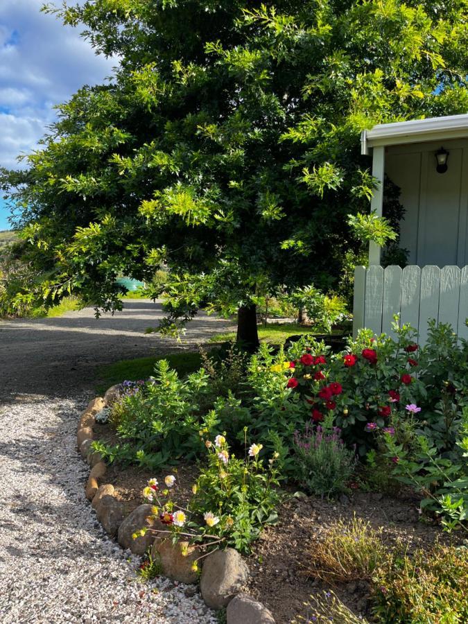 Отель Wisteria Way Опонони Экстерьер фото
